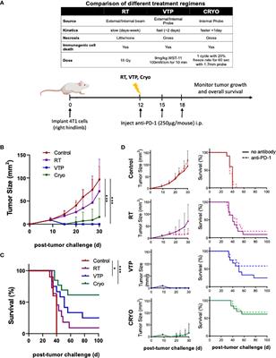 Comparative study of immune response to local tumor destruction modalities in a murine breast cancer model
